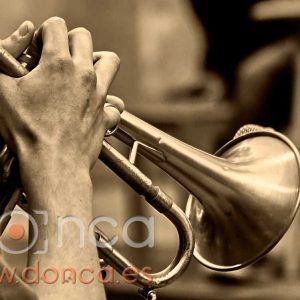 AztarnaBeltza DumbBoys_DON7955 (Med)