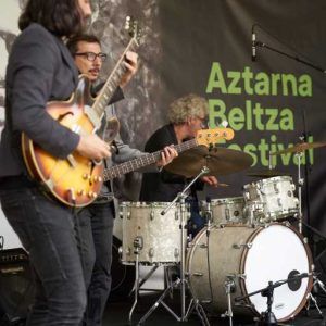 AztarnaBeltza_DON4053 (Med)